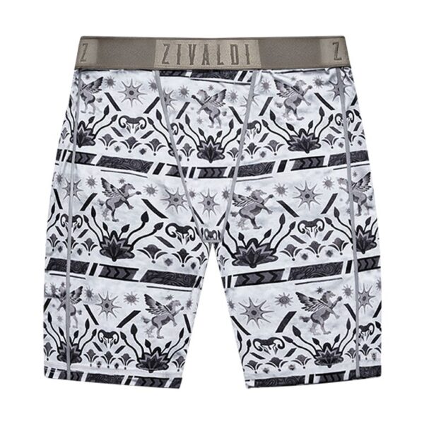 Veil of Pegasus underwear